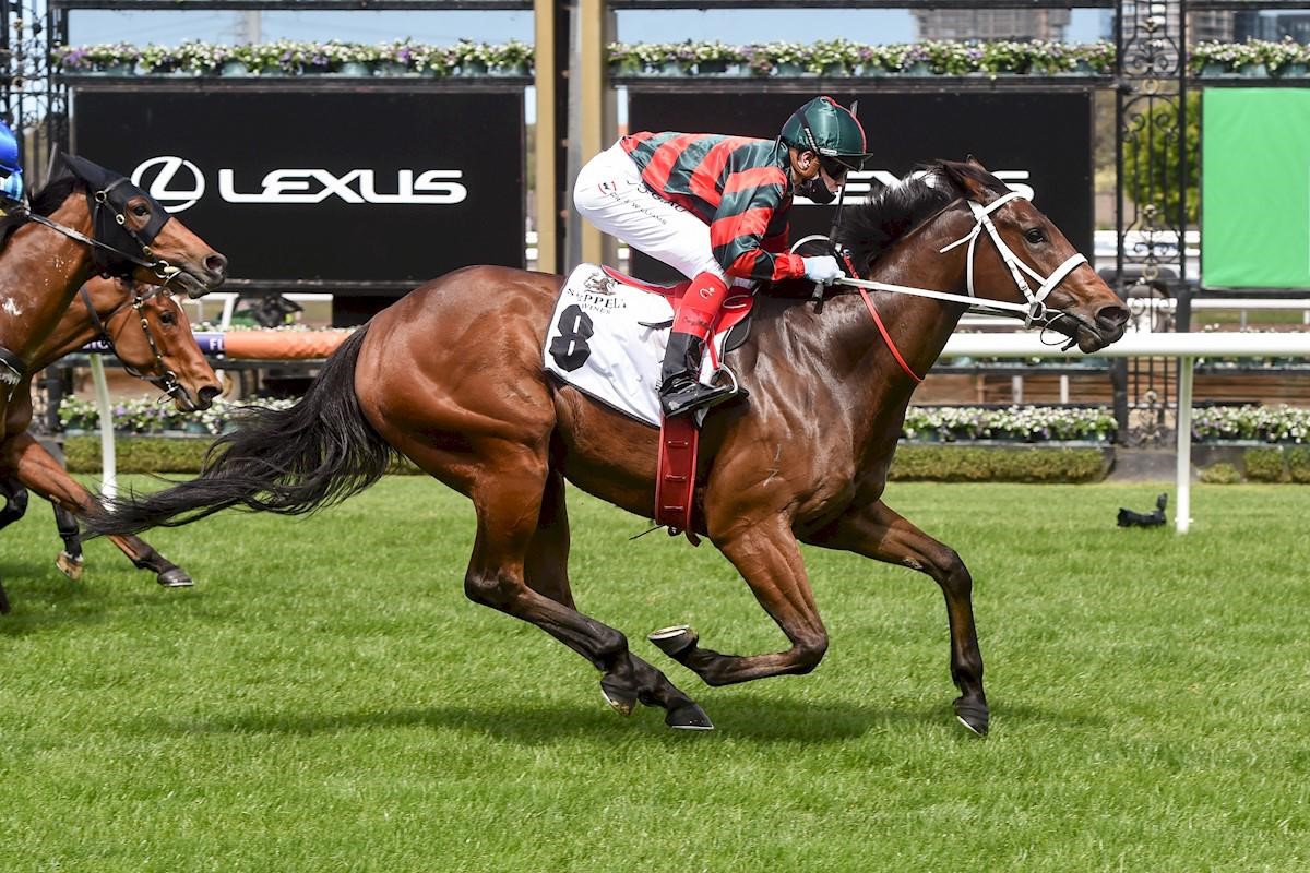 September Races September Run adds a third Stakes win to her record | Australia