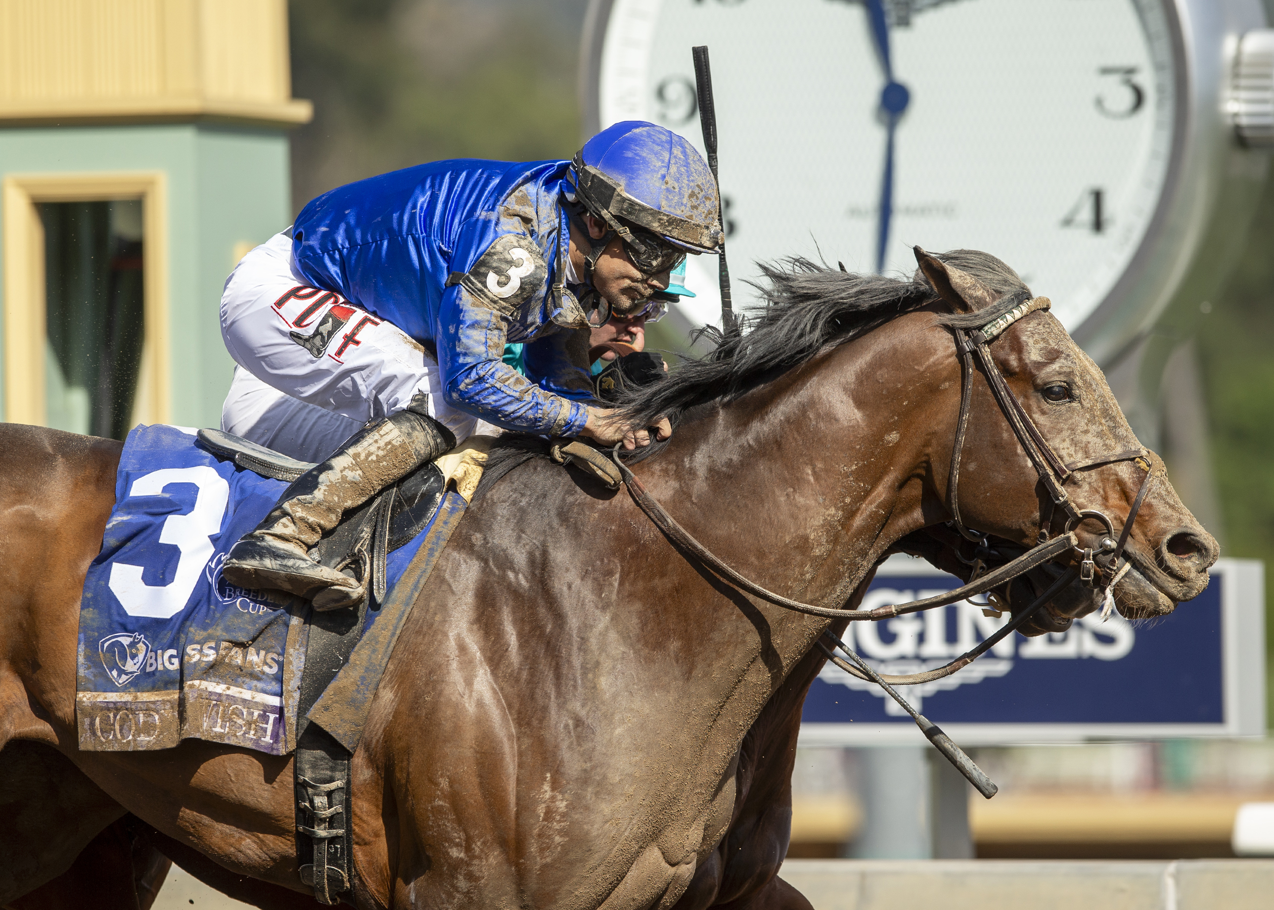 Darley America announces fees for new stallions Cody’s Wish and Proxy ...