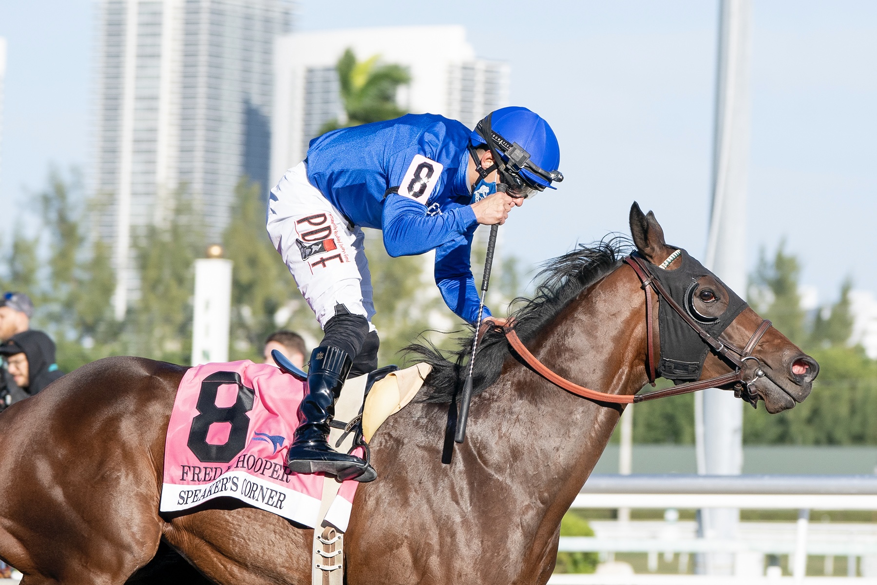 Speaker’s Corner dominates G1 Carter Handicap America