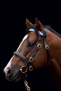 Super seven for Ad Valorem | Australia