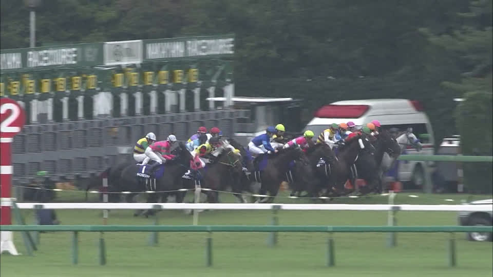 ファインニードル | Japan