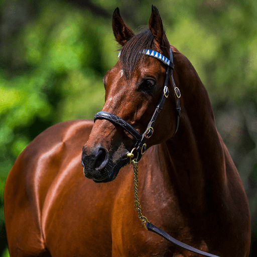 Ghaiyyath: million-dollar yearling, leading first-season sire by ...